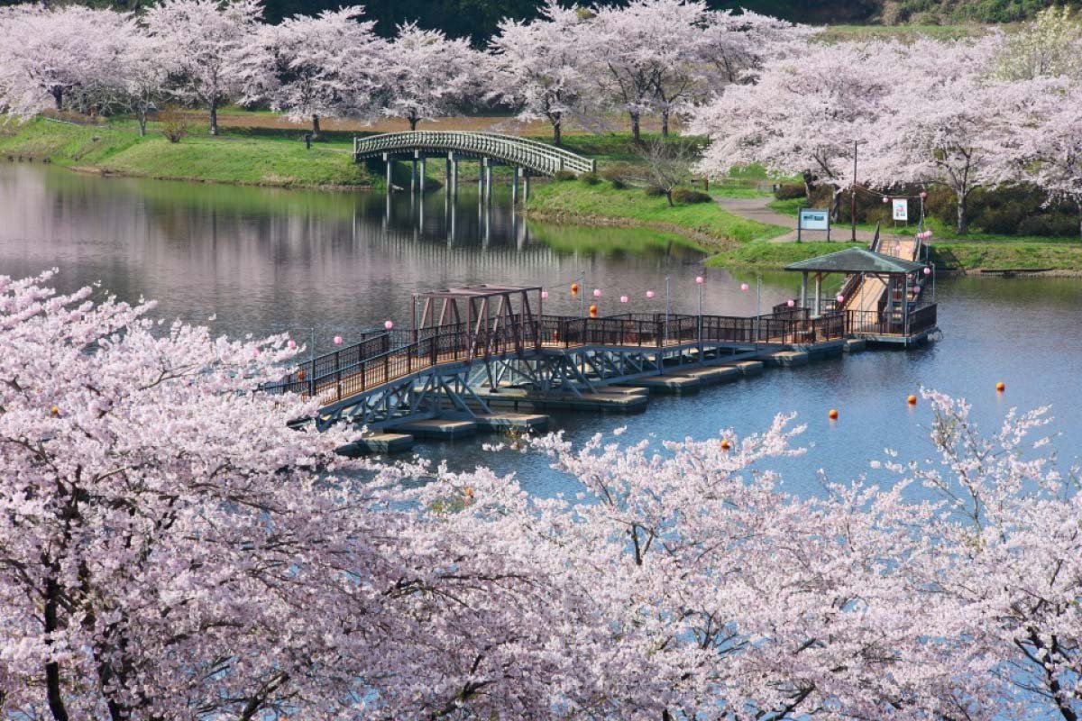 🌳 바뉴 만남 공원 (바뉴 후레아이 코엔) 이미지 1